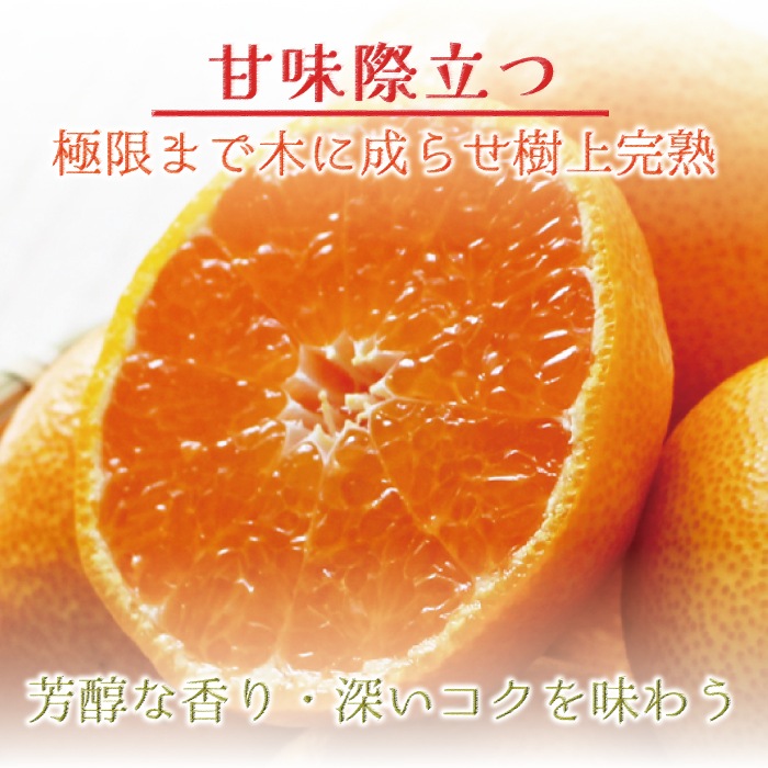 ���� ���� �ߤ���� M ������ 3kg ��¿���������� ��������