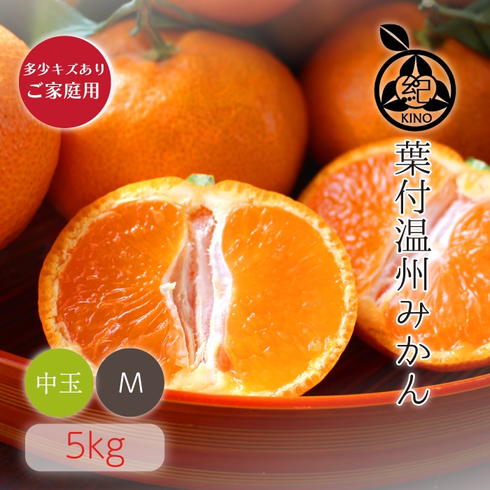 ���� ���� �ߤ���� M ������ 5kg ��¿���������� ��������