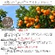 �� �͡��֥�� L~3L ������ 5kg �ۤ�������