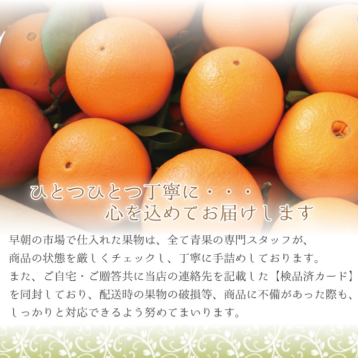 �� �͡��֥�� L~3L ������ 10kg �ۤ�������