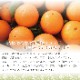 �� �͡��֥�� L~3L ������ 10kg �ۤ�������