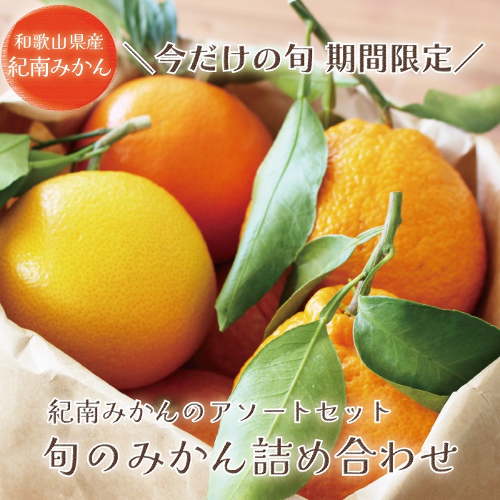 �ܤΤߤ���ͤ��碌�� ��kg 3����4�ʼ� �ۤ�������