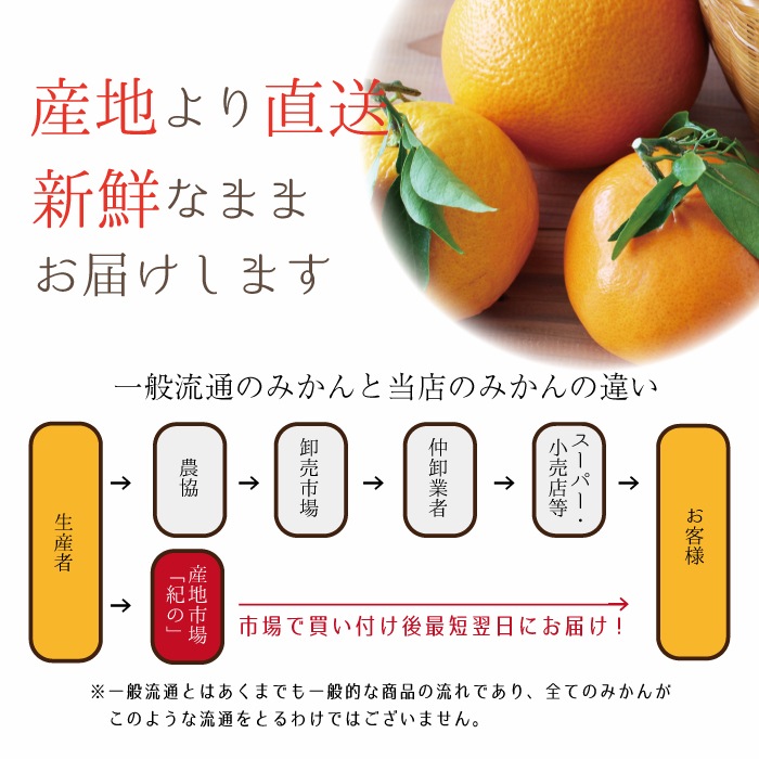 �ܤΤߤ���ͤ��碌�� 10kg 3����4�ʼ� �ۤ�������