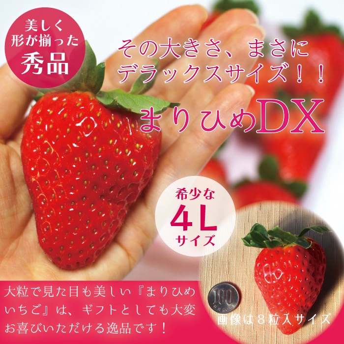������ ����̵���� ���� �ޤ�Ҥ� DX ���� 4L������ ��Ķ��γ ��8~9γ��4�ѥå�