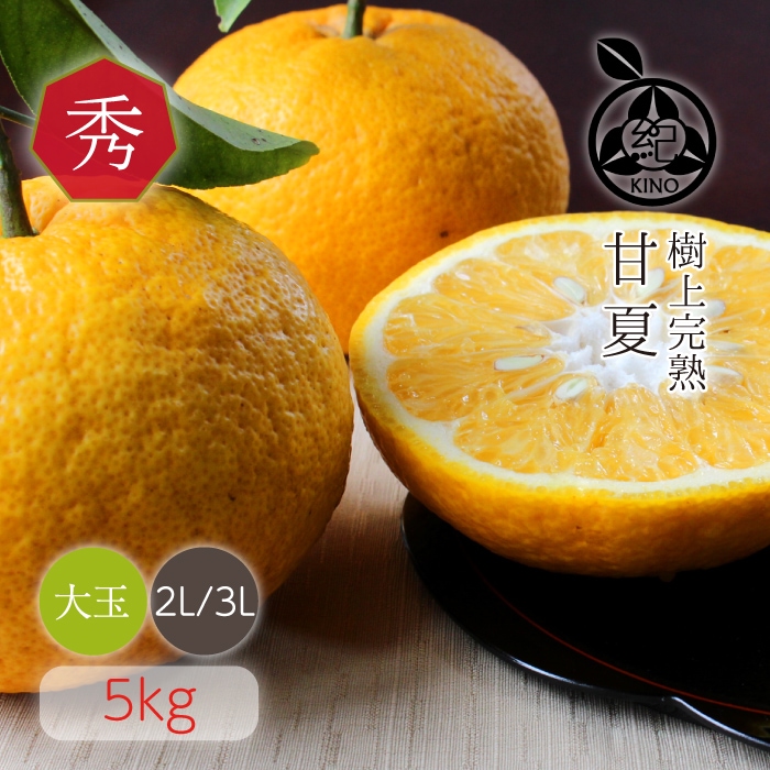 木熟 甘夏【 秀品 2L/3Lサイズ 5kg 】 | みかん,木熟甘夏 | 紀州の旬