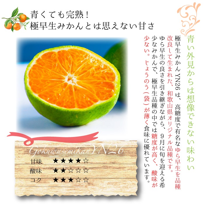 ������ �ߤ��� YN26 ����̵�� �� SS/S ������ 3kg ��¿���������ꤴ������