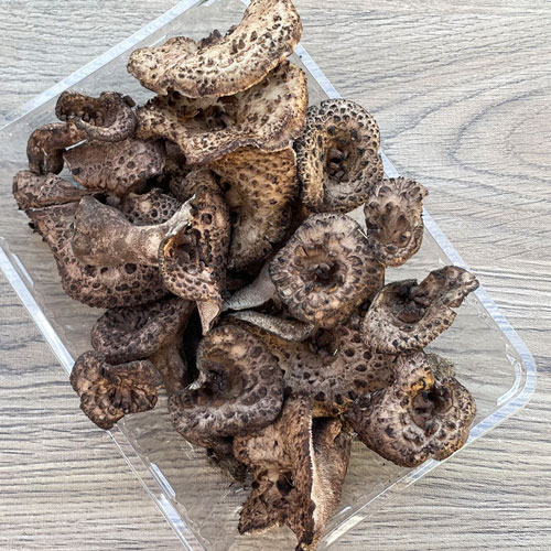 限定1個！ 18日採取 香茸B品小 300g
