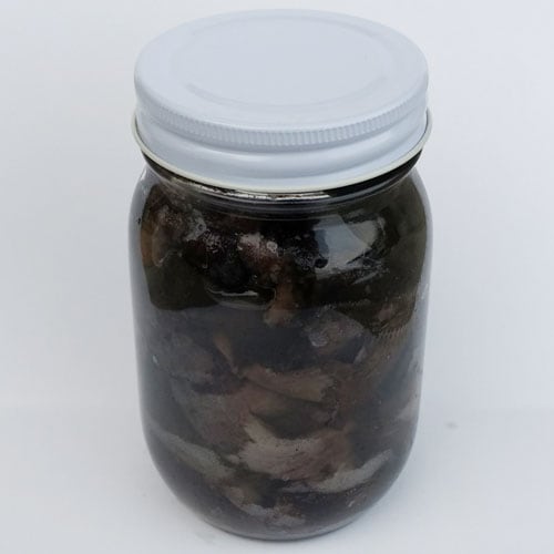 塩蔵 岩手県産 クロカワ （ 老茸 ） 販売 【 天然きのこ山菜.com 】