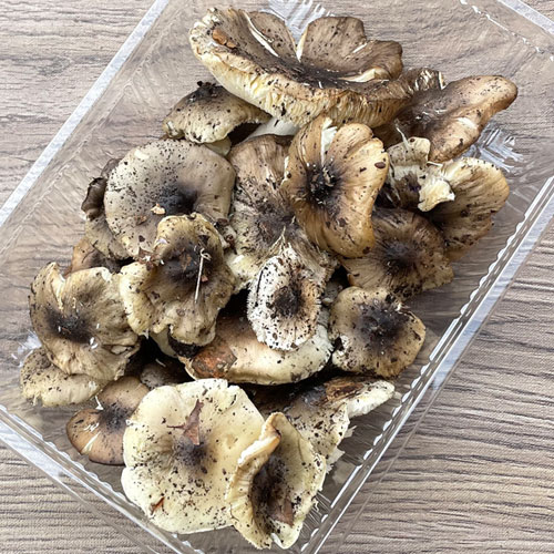 ����1�ġ�6���μ� ���������� 200g