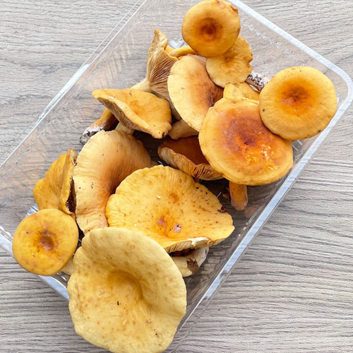 ����1�ġ�23���μ衡�������� 200g