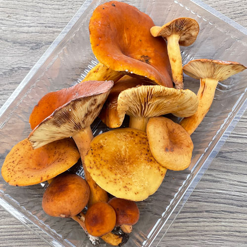 1ġ25μ衡 200g