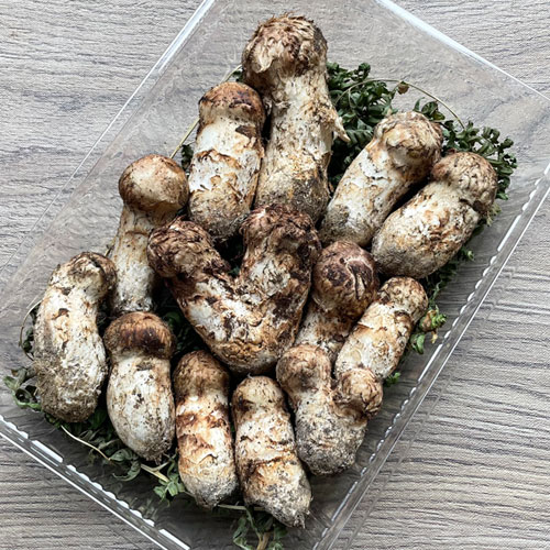 松茸 320g 松茸 320g 北海道産松茸320g