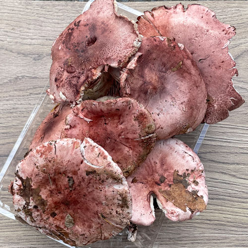 1ġ29μ衡ᤸʡ 375g