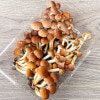 2ġ26μ衡 240g
