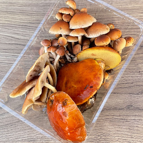 1ġ31μ衡+ϥʥ 350g