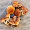 2ġ31μ衡 200g