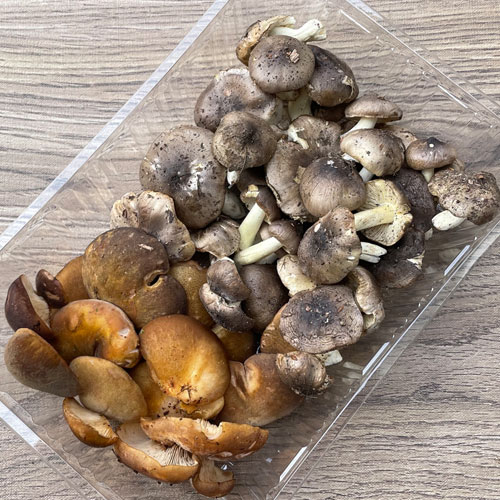 ����1�ġ�1���μ衡����+�भ�� 270g