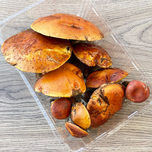 1ġ11μ衡ϥʥ 320g