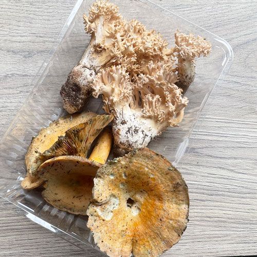 ����1�ġ�2���μ� �ۤ�������+�ֽ������������ʡ� 230g