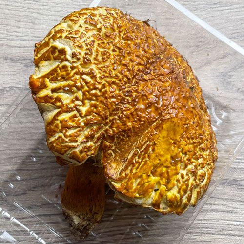 ����1�ġ�2���μ� ������ޥɥꡦ�������� 290g