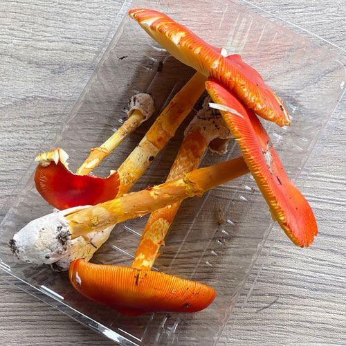 ����1�ġ�2���μ衡���ޤ����ҥ饭���� 170g