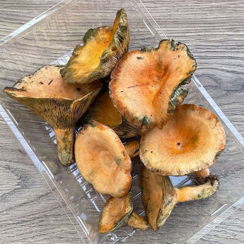 ����1�ġ� 3���μ衡�ֽ�����210g