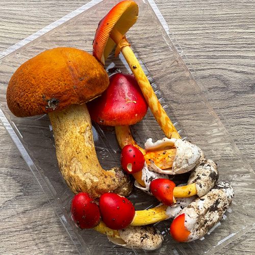 ����1�ġ�3���μ� ������ޥɥ�+���ޤ��� 300g