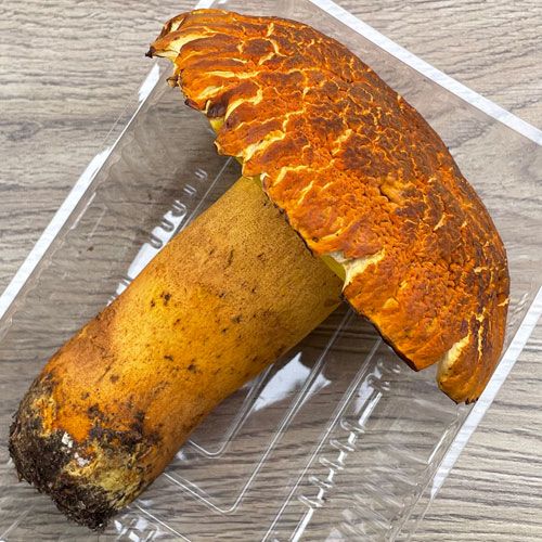 ����1�ġ�4���μ� ������ޥɥ� 490g