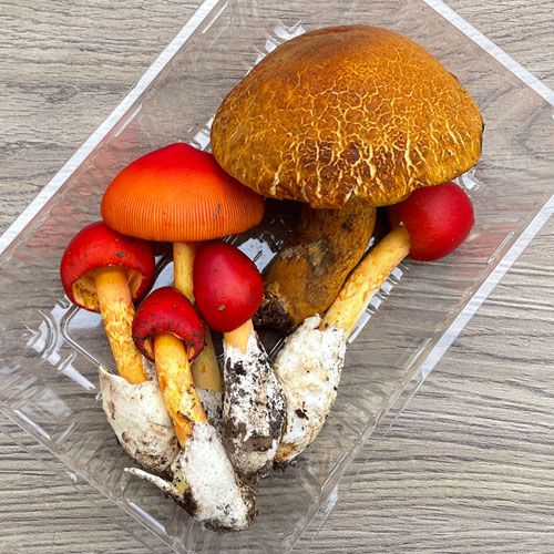 ����1�ġ�4���μ� ������ޥɥ�+���ޤ��� 310g