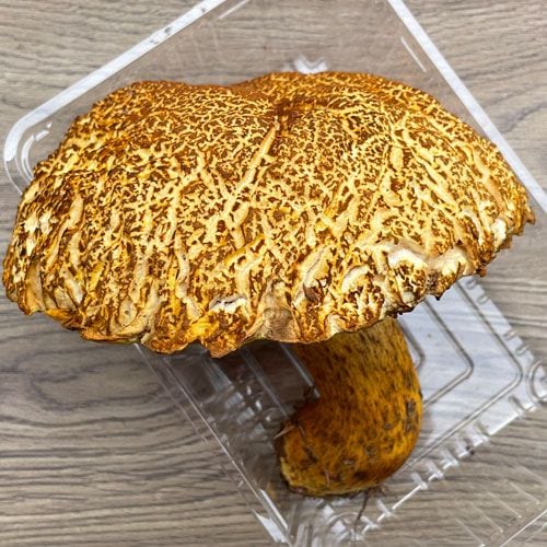 ����1�ġ�4���μ� ������ޥɥꡦ�ҥ饭 380g