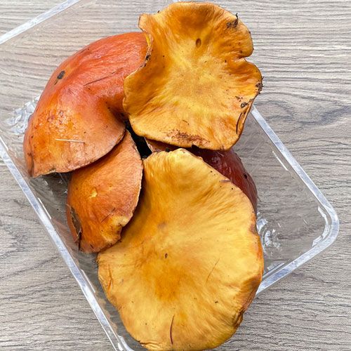 1ġ21μ ϥʥҥ饭 300g