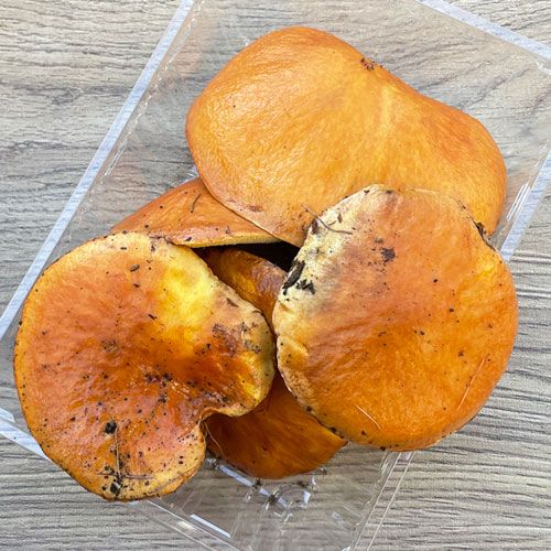 1ġ23μ ϥʥҥ饭 300g