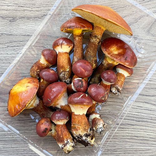 ����1�ġ�23���μ� �ϥʥ����� 300g