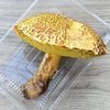 ����1�ġ�7���μ� ������ޥɥ�B�� 270g