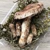 ����1�ġ�10���μ� �������������� 190g