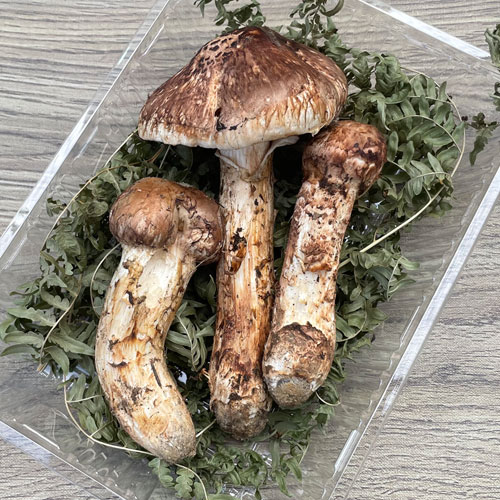 ����1�ġ�23���μ� �������������� 200g��