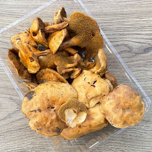����1�ġ�24���μ� ���������������� 350��