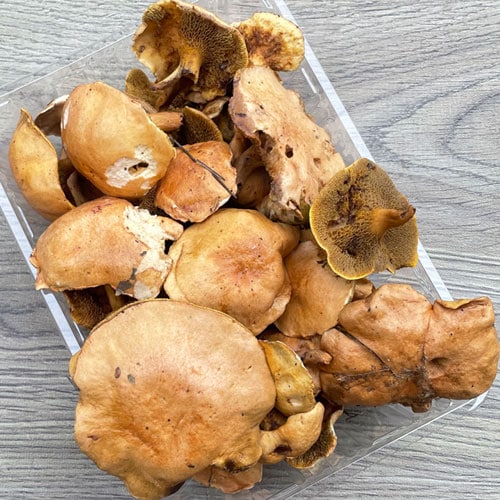 ����1�ġ�25���μ� ���������������� 350��