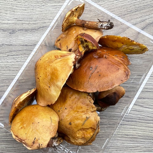 ����1�ġ�25���μ� �ϥʥ��������������� 280��