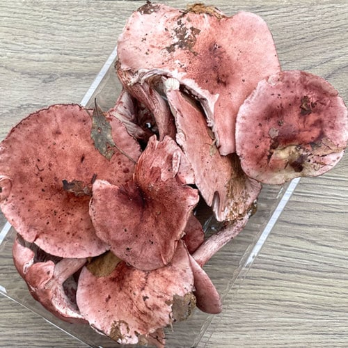 ����1�ġ�25���μ� �����ᤸ���������� 360��