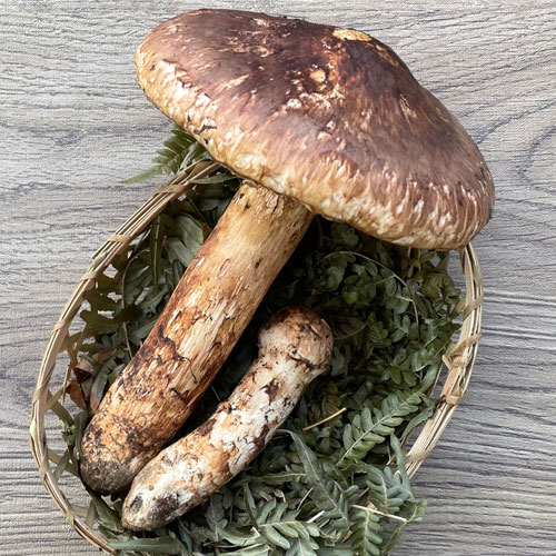 ����1�ġ�26���μ� �����åҥ饭 300g