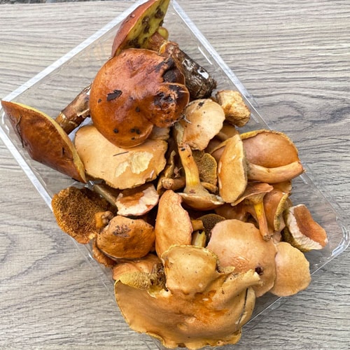 ����1�ġ�27���μ� ���������ʡۤ�����+�ϥʥ����� 330��