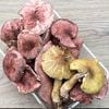 ����1�ġ�29���μ� ���������ʡۺ����ᤸ+���� 350��