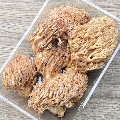 ����1�ġ�29���μ� �ۤ��������������� 400��