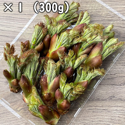 ŷ β ʥΥˣͥ