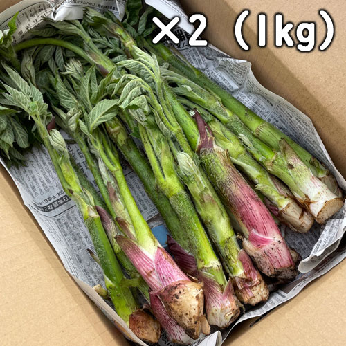 ŷ  ʥޥɡ