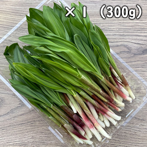 ŷ ԼԤˤˤ ʥ祦˥˥