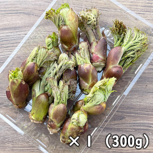 ŷ β ʥΥˣͥ