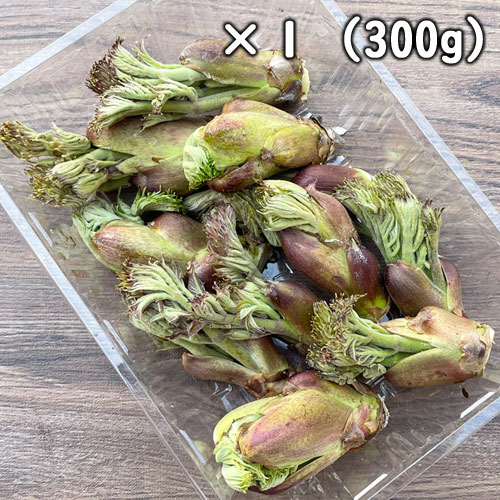ŷ β ʥΥˣͥ