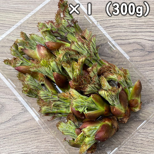 ŷ β ʥΥˣͥ